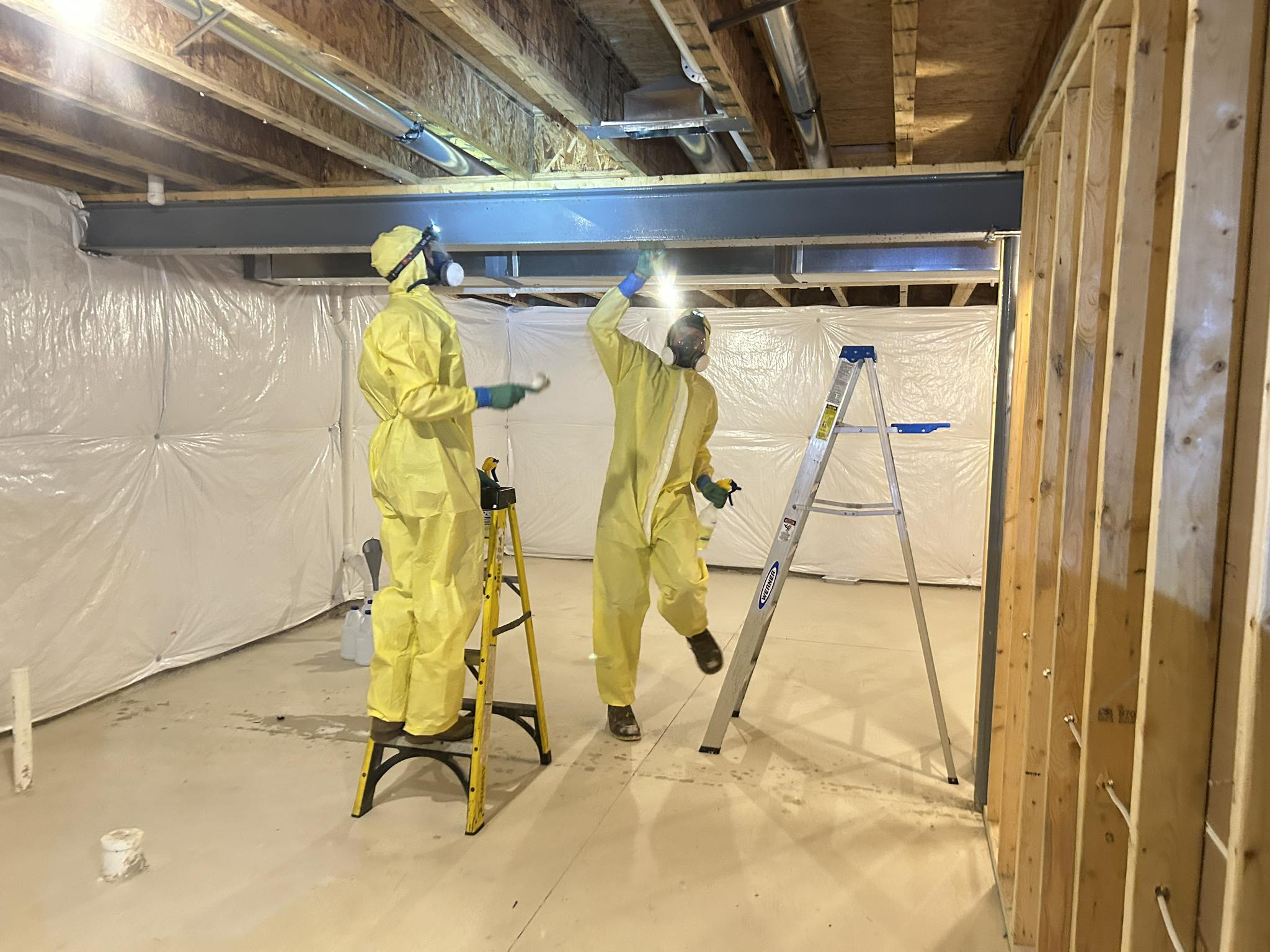 Professional mold remediation work in progress